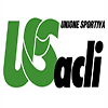 Logo us-acli100